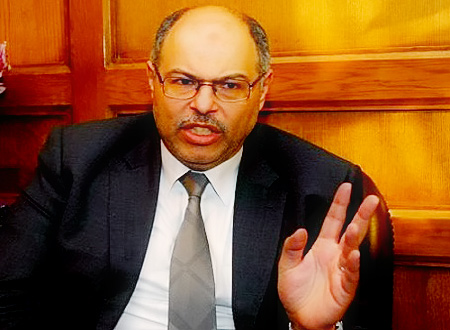 إحالة دعاوى حل «التأسيسية» لـ «الدستورية»