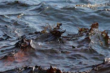 طوارىء بشركة المياه بسوهاج لمواجهة بقعة الزيت المتسربة للنيل