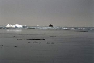 السفينة الروسية المفقودة ببحر “أوخوتسك” تحمل 700 طن من الذهب