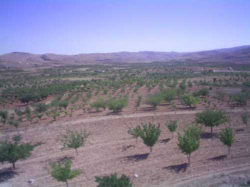 مزاد لـ”الاهلى” و”مصر” يبيع قطعة أرض بـ 9.2 مليون جنية ويفشل في بيع اخريين