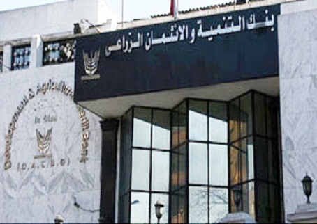 200 مليون جنيه محفظة تمويل “المرابحة” للمشروعات المتناهية الصغر بالائتمان الزراعي