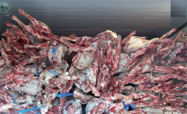 ” بيطرى الجيزة ” يضبط  38 طن و108كجم لحوم فاسدة