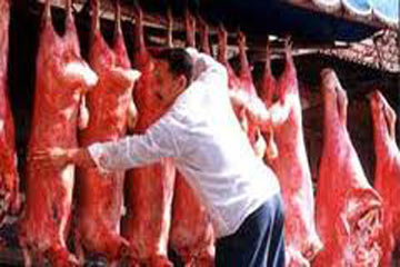 تجهيز 59 شادراً لبيع اللحوم بأسعار مناسبة للمواطنين