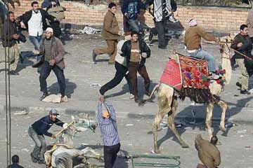 النيابة: سنستعين بـ”تقصي الحقائق” في الطعن على البراءة بموقعة الجمل