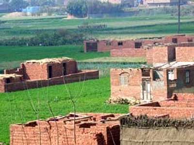 611.5 ألف حالة تعدى على الأراضى الزراعية