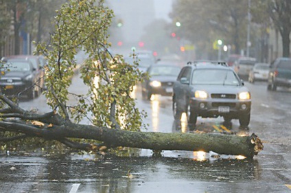 تأثير محدود لإعصار «ساندى» على تأمينات البحرى بالسوق المصرى