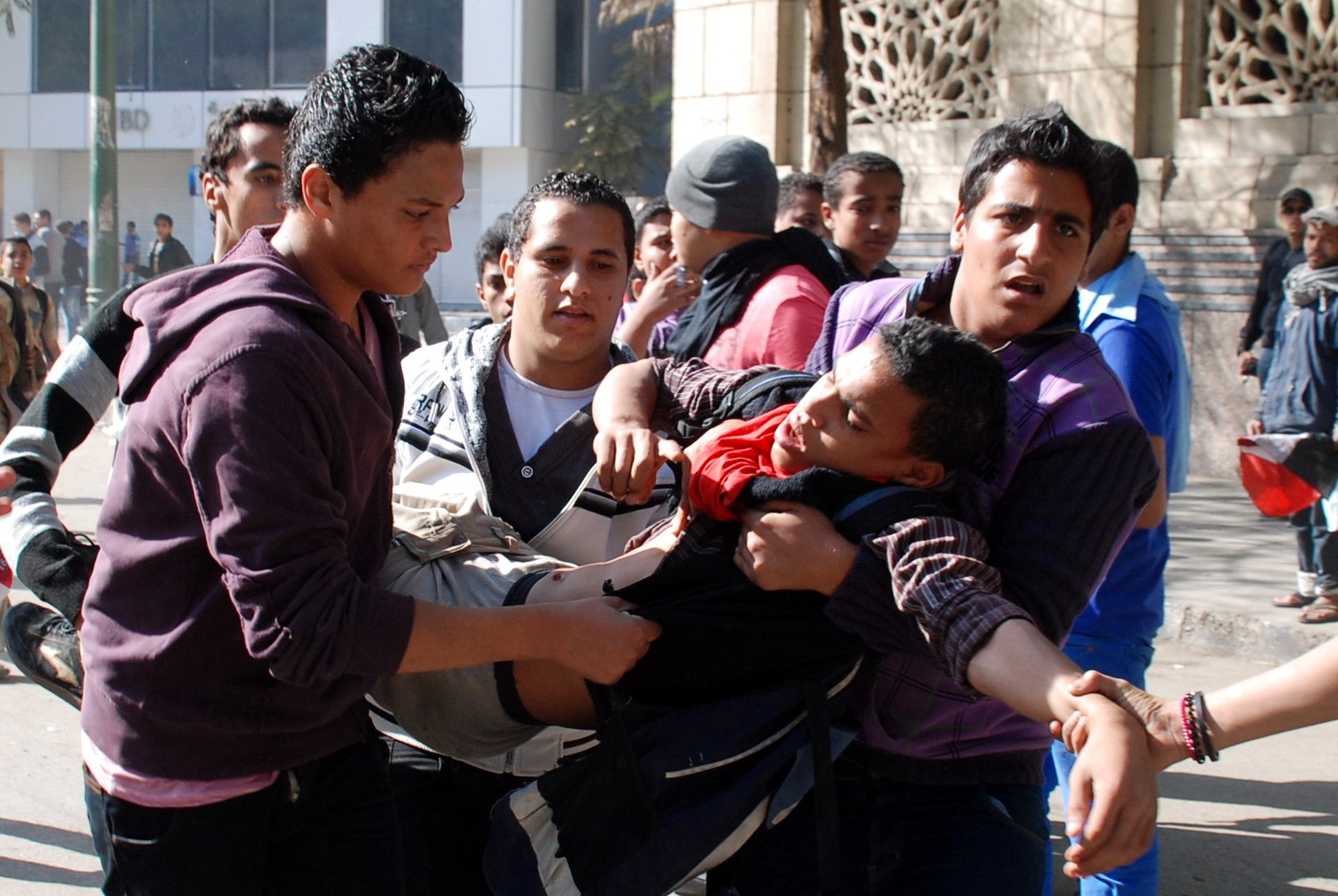 التحرير 29-11-2012