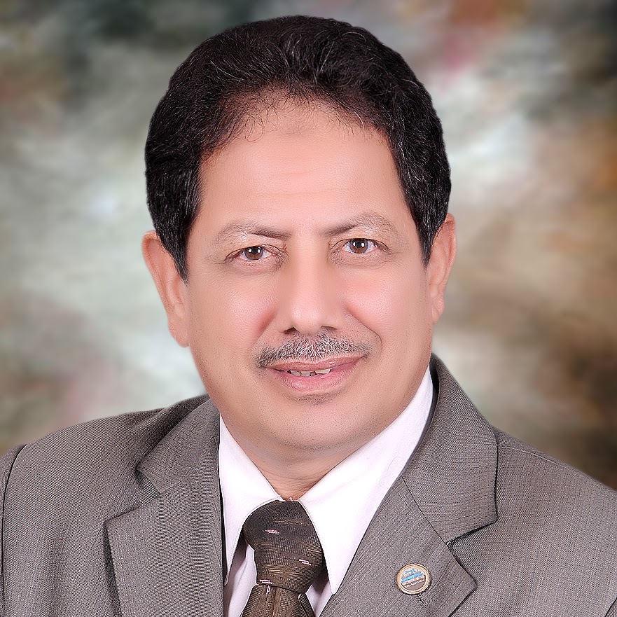 رئيس بيت الخبرة «الأمناء الاستشاريون» لـ«البورصة»: 220 مليون جنيه حصيلة بيعية متوقعة لبيع 58 ألف متر بالمحلة بالمزاد الشهر القادم