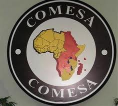 قمة “الكوميسا “:2013 عام القطاع الخاص لتنمية التجارة البينية بين دول إفريقيا