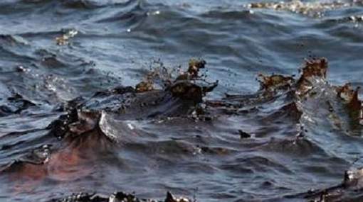 وزارة البيئة:إخلاء سبيل رئيس قطاع مصانع سكر أرمنت من النيابة العامة بضمان مالي