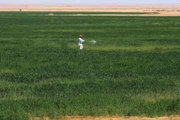 الصناعات الغذائية :تطلق مبادرة لاستصلاح وزراعة مليوني فدان بالمياه الجوفية