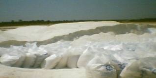 شركات صينية والمانية تعرض ضخ 200 مليون دولار في ملاحة الاسكندرية