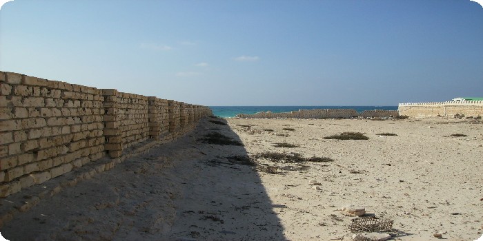 7 آلاف حالة وضع يد علي أراضي الدولة بالساحل الشمالي