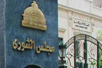 لجنة بالشورى : الصندوق الإجتماعي والبنوك ستمول المشروعات الصغيرة