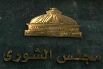 مالية الشورى تدعو للاهتمام بالمشروعات كثيفة العمالة لمواجهة البطالة