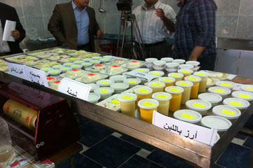 افتتاح أول وحدة لتجميع الألبان بقرية الدوّية ببني سويف