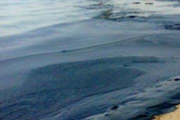 محافظ أسيوط: بقايا تسريبات بقعة الزيت لم تؤثر على مياه الشرب