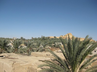 30 مليون جنيه لإقامة معرض دائم للسلع بالغربية