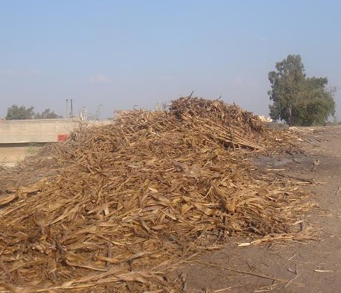 «إنماء» تدشن أول خط لإنتاج مواد البناء من المخلفات الزراعية بتكلفة 60 مليون جنيه