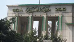 الزراعة: إغلاق حديقة الحيوان بالجيزة اليوم و 13 سيارة أمن مركزي لتأمينها