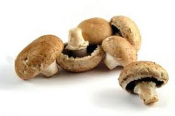 عش الغراب يكافح الإدمان والقلق الناجم عن الاصابة بالسرطان