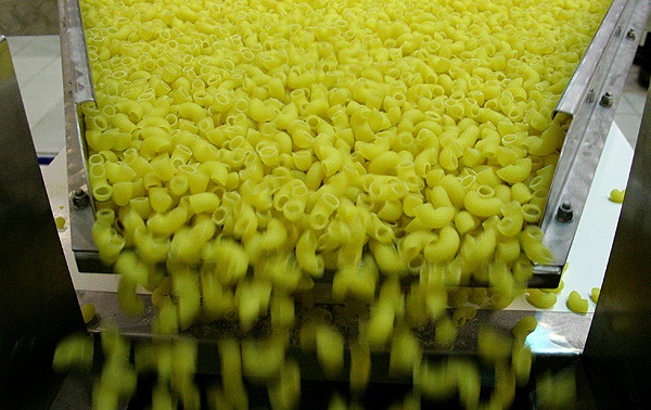 مصنع المكرونة