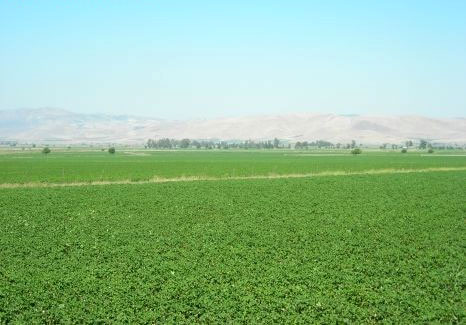 اعتماد تقسيم 12.58 فدان لصالح جمعية امراء البحار ببرج العرب