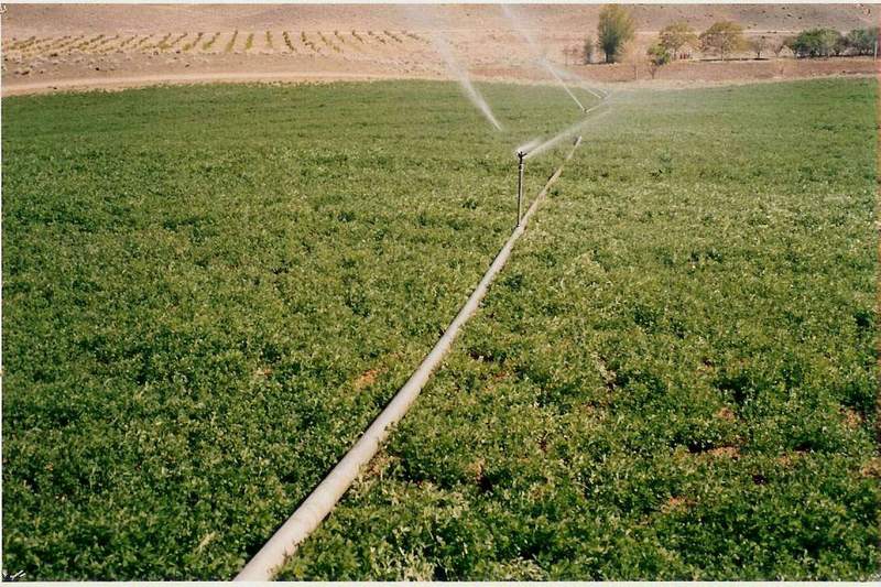 استصلاح الاراضى - صورة ارشيفية