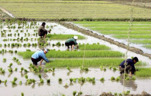 كوريا الجنوبية وتركيا توقعان وثيقة تفاهم حول تعزيز التعاون الاقتصادى