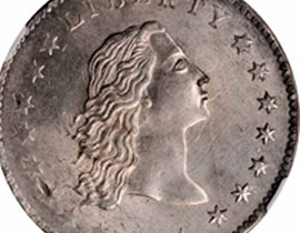 بيع دولار فضي بـ10 ملايين دولار