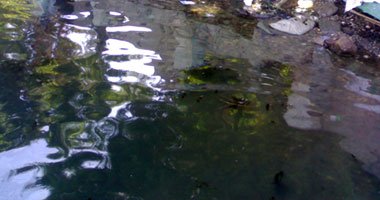 بهاء الدين : القضاء على بقعة زيت نجع حمادي