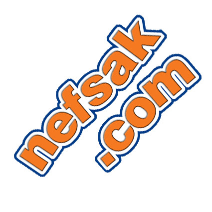 ” نفسك دوت كوم ” تعلق خططتها التوسعية فى 2013 بسبب عدم استقرار الدولار