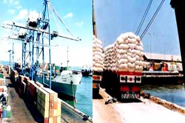 وصول شحنة قمح من روسيا إلى ميناء الإسكندرية