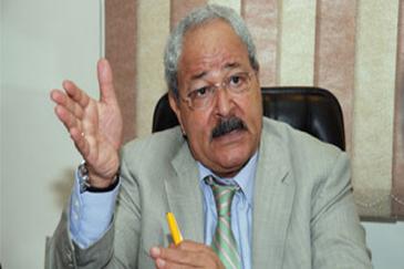 سمير رضوان :الحكومة هى الجهة الوحيدة المنوط باتخاذ القرارات