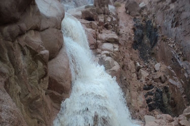 وزارة البيئة: سيول كاترين تعيد الانتعاش فى الحياه البرية لمحميات سانت كاترين