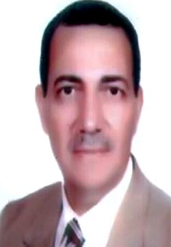 وقف إصدار تراخيص جديدة للوحات الإعلانية بالمنوفية