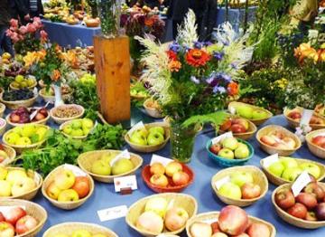 15 مليون يورو قيمة عقود تصديرية للشركات المصرية خلال معرض لوجيستيكا ببرلين