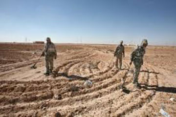 28 مايو الحكم فى دعوتى إزالة الألغام وبطلان تعيين قضاه