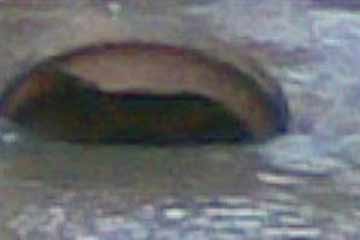 مصدر بمحافظة القاهرة:الانتهاء من إصلاح ماسورة المياه بمصر الجديدة