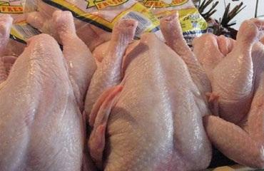 ” القاهرة ” تضبط 175 كيلو جرام  دواجن غير صالحة للأستهلاك الآدمى بـ”عين شمس”