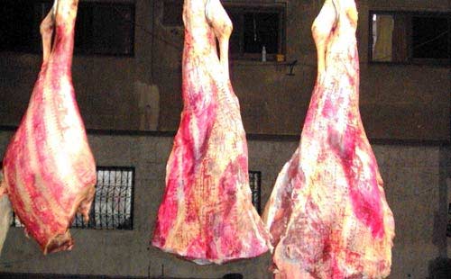 وزيرة الزراعة وحماية المستهلك الألماني تحقق في فضيحة تورط شركات ببيع لحوم الخيول