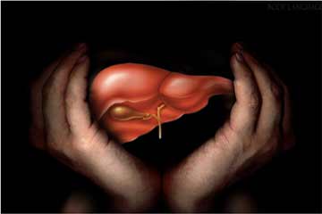 أستاذ كبد: مصر الأولى عالمياً فى الإصابة بالإلتهاب الكبدى الفيروسى