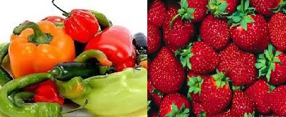 وقفة احتجاجية للمصدريين امام  السفارة السعودية  بعد  فرضها  ضوابط  لواردات الفراولة والفلفل