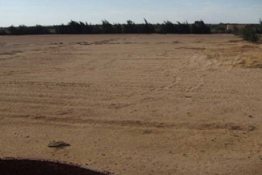 جدل حول تخصيص أراضى المطور الصناعى بحق الإنتفاع