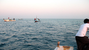 “هيبكا” تفوز بجائزه التميز البيئى فى إقليم البحر الاحمر