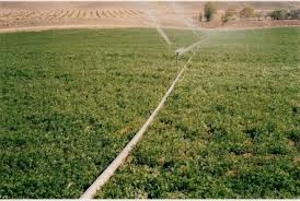 العقود الجديدة تقلص خسائر “العامة لاستصلاح الاراضي” 25% النصف الاول من العام المالى