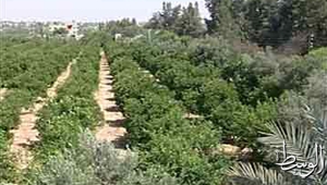 الرقابة الإدارية تضبط سمسار أراضى ومسئول سجلات بتهمة التلاعب بشراء أراضى بالعياط