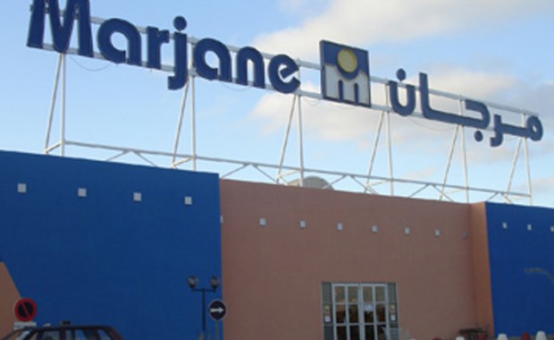 مرجان العالمية” تعرض على “الزراعة” مشروع للاستزراع السمكي تحت الصوب البلاستيكية “