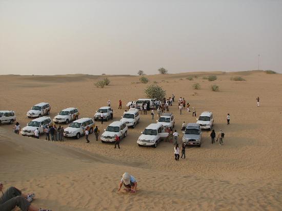 أصحاب فنادق : خطف السياح تطور فى الانفلات الأمنى بسيناء ..ورحلات السفارى “تحتضر”