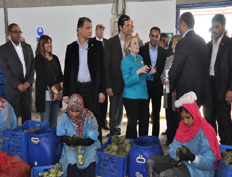 ” باترسون” : مصر ثالث اكبر منتج للخروشوف فى العالم ..وندعم صادراته الى امريكا